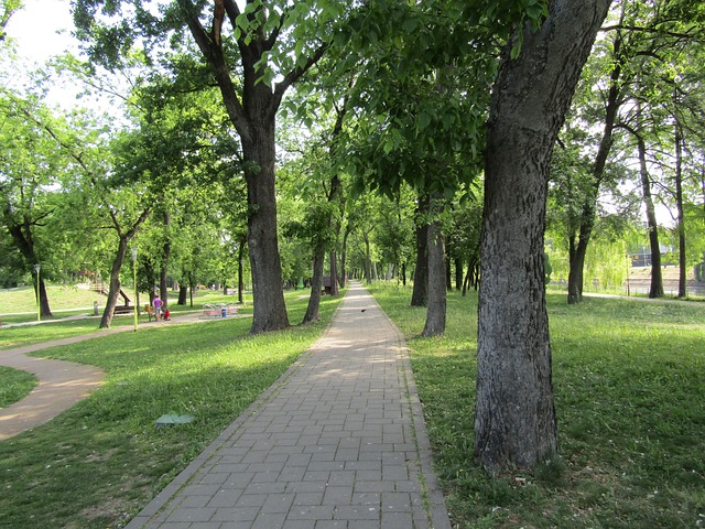 Park